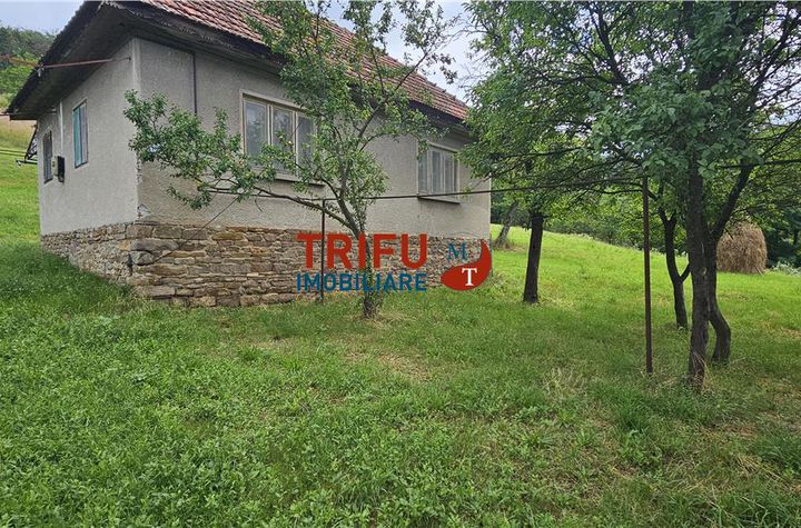 Casă - 2 camere de vanzare CENTRAL - Alba anunturi imobiliare Alba