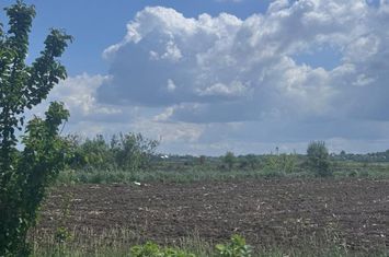 Teren de vanzare RADAUTI - Suceava anunturi imobiliare Suceava