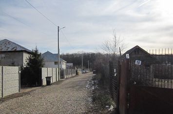 Domnesti-Teghes-Padure anunturi imobiliare Bucuresti