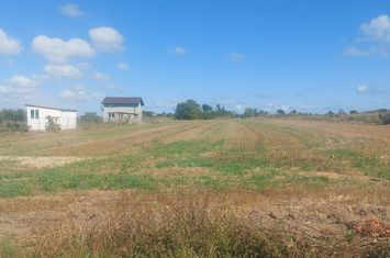 Teren de vanzare 5000 mp in Costinesti anunturi imobiliare Constanta
