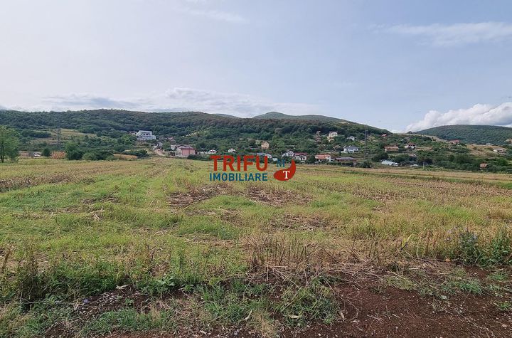 Teren Intravilan de vanzare CENTRAL - Alba anunturi imobiliare Alba