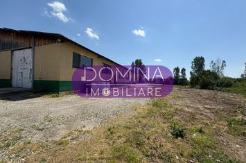 Spațiu industrial de vanzare TETILA - Gorj anunturi imobiliare Gorj