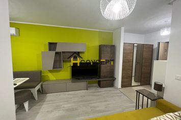 Garsoniera de inchiriat finisaje premium mutare imediata anunturi imobiliare Bucuresti