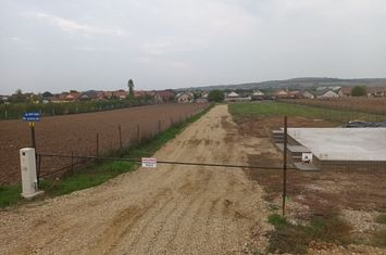 Parcela casa-Biharia, 500 mp,utilitati.Pret 25900 euro neg, comision 0 anunturi imobiliare Bihor