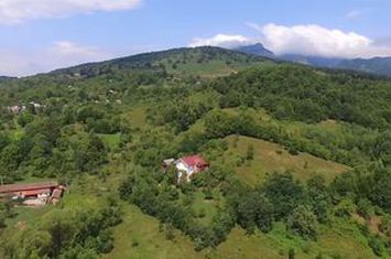 Casa+teren de 17 844 mp de vanzare in Serbanesti ,jud.Valcea anunturi imobiliare Valcea