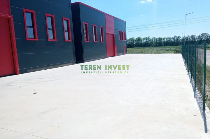 VANZARE HALA INDUSTRIALA - FRUMUSANI anunturi imobiliare Calarasi
