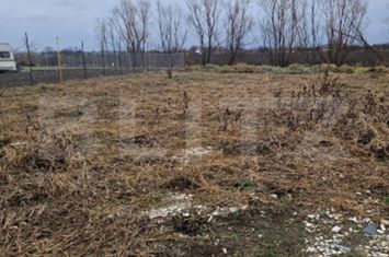 Teren de vanzare SATU MARE - Satu Mare anunturi imobiliare Satu Mare