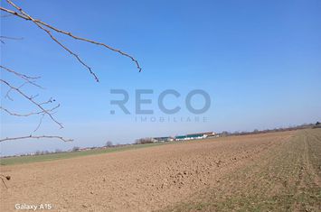Teren Intravilan de vanzare BIHARIA  - Bihor anunturi imobiliare Bihor