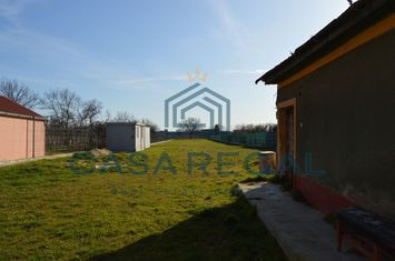 Teren 2992 mp împrejmuit, central, Biharia, lângă Profi, utilități anunturi imobiliare Bihor