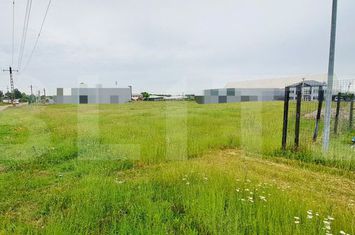 Teren de vanzare CRAIOVA - Dolj anunturi imobiliare Dolj