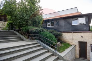 Vilă spectaculoasă de vânzare în Făget anunturi imobiliare Cluj