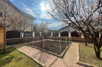 Pipera vila eleganta, spatioasa, garaj, piscina, gradina amenajata anunturi imobiliare Bucuresti