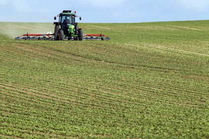 Agricultorii români nu vor să iasă în întâmpinarea cererii