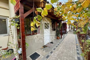 Doua apartamente la curte comuna , zona Iosefin anunturi imobiliare Timis