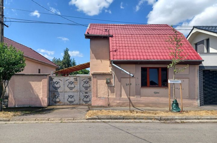 Casă, singur în curte, 500 mp, Muntele Găina. 157 000 E. Comision 0. anunturi imobiliare Bihor