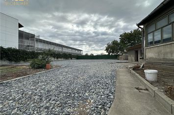 Teren Intravilan de inchiriat AEROPORT  - Cluj anunturi imobiliare Cluj