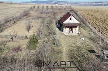 Casă - 1 camere de vanzare SIBIU - Sibiu anunturi imobiliare Sibiu
