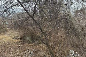 teren intravilan - Piatra Neamt - Sarata anunturi imobiliare Neamt