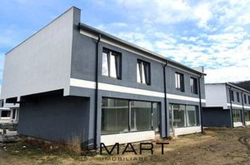 Vilă - 4 camere de vanzare RASINARI - Sibiu anunturi imobiliare Sibiu