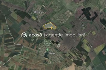 Teren 42 ha pentru parc fotovoltaic – Macea, Arad anunturi imobiliare Arad