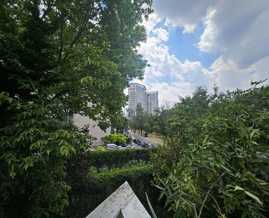Casă 6 cam Floreasca, 281 mp