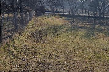 Teren Intravilan de vanzare DAESTI - Valcea anunturi imobiliare Valcea