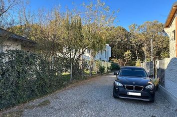 Teren intravilan 1170 mp Corbeanca Padurea Tamasi anunturi imobiliare Bucuresti