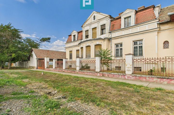 Vilă deosebită cu caracter istoric în Periam anunturi imobiliare Timis