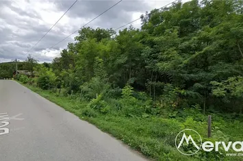 Teren Intravilan de vanzare PROVITA DE JOS - Prahova anunturi imobiliare Prahova