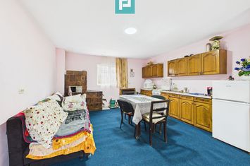 Casă cu teren de 24.679,73 mp, în Hălmagiu, Arad anunturi imobiliare Arad