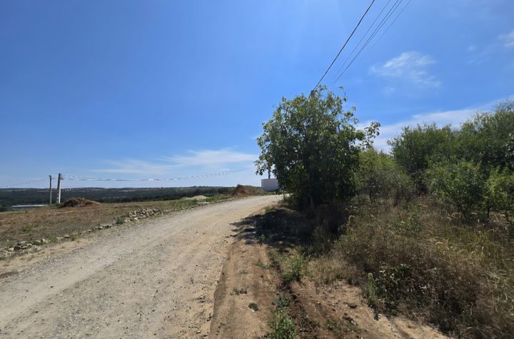 Teren de vanzare PALEU - Bihor anunturi imobiliare Bihor