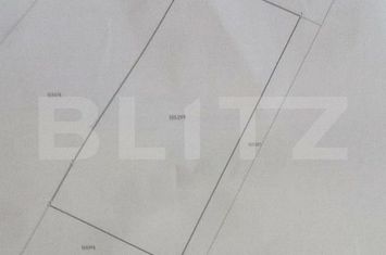 Teren de vanzare PAULESTI - Satu Mare anunturi imobiliare Satu Mare