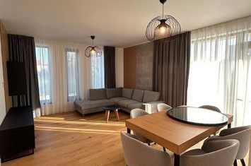 Modern villa located near the lake and forest, Dendrological Park anunturi imobiliare Bucuresti