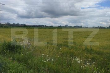 Teren de vanzare RADAUTI - Suceava anunturi imobiliare Suceava