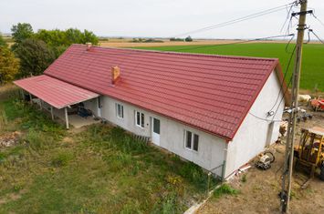 Teren intravilan cu iazuri și casă - Chișineu-Criș anunturi imobiliare Arad