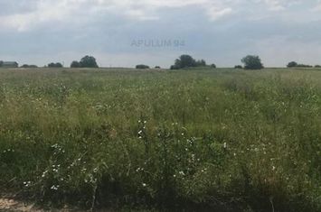 Teren Extravilan de vanzare BERCENI - Bucuresti anunturi imobiliare Bucuresti