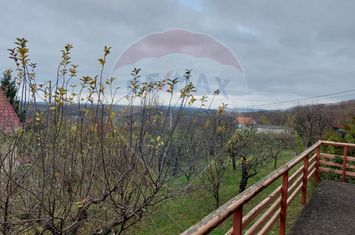 Casă / Vilă cu 4 camere de vânzare în zona Sud-Est anunturi imobiliare Iasi