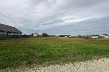 Teren de vanzare SANTANDREI - Bihor anunturi imobiliare Bihor