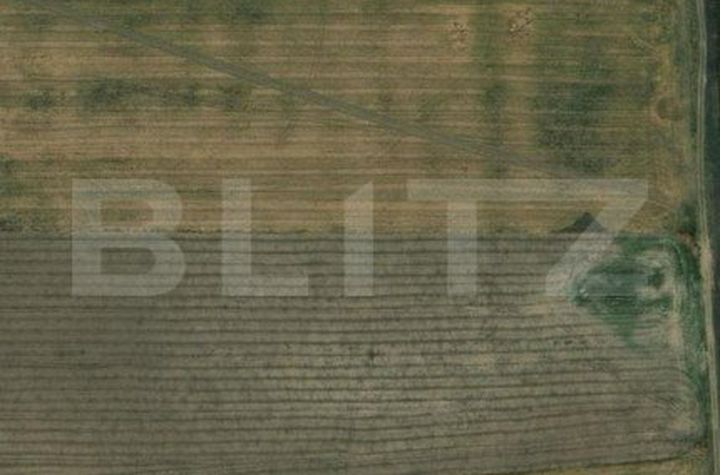 Teren de vanzare CARCEA - Dolj anunturi imobiliare Dolj