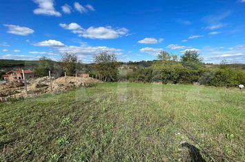 Teren de vanzare HIDISELU DE JOS - Bihor anunturi imobiliare Bihor