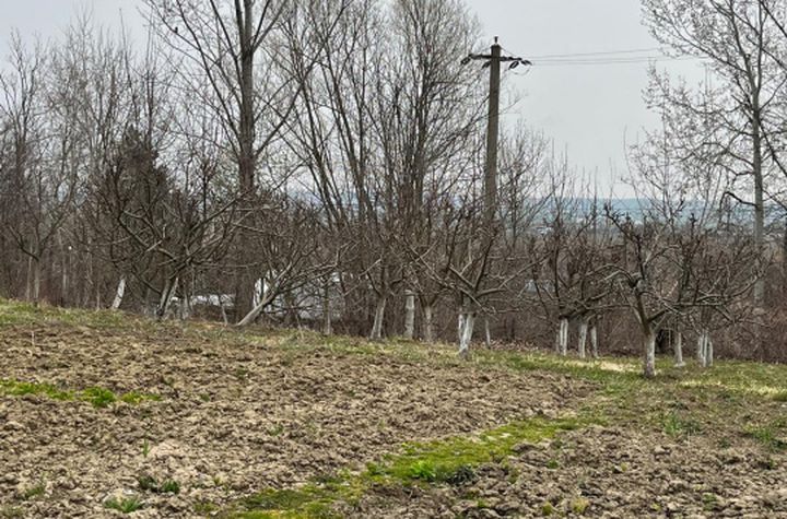 Teren de vanzare SIRET - Suceava anunturi imobiliare Suceava