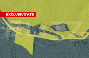 Teren de vanzare INTREGALDE - Alba anunturi imobiliare Alba