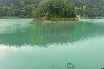 Teren cu deschidere la lac – Valea Doftanei, Prahova anunturi imobiliare Prahova