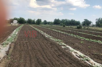 Fermă de vânzare | 3 ha | Între București și Constanța | Exploatație agricolă și zootehnică anunturi imobiliare Constanta