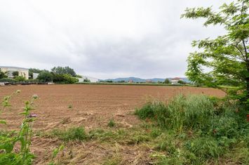 Teren construibil 6.620 mp în Polystylo, Kavala anunturi imobiliare Grecia