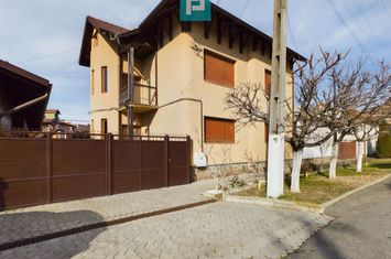 Casă solidă și impunătoare în Grădiște anunturi imobiliare Arad