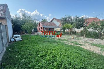 Teren Intravilan de vanzare BARABANT - Alba anunturi imobiliare Alba