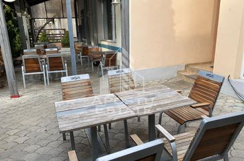 Spatiu comercial de 400 mp, curte si terasa, zona Lipovei anunturi imobiliare Timis