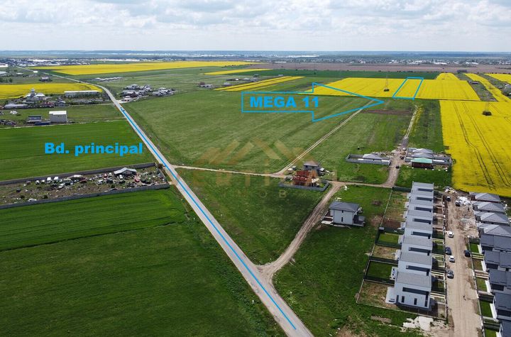 Teren Intravilan de vanzare COMUNA BERCENI - Bucuresti anunturi imobiliare Bucuresti