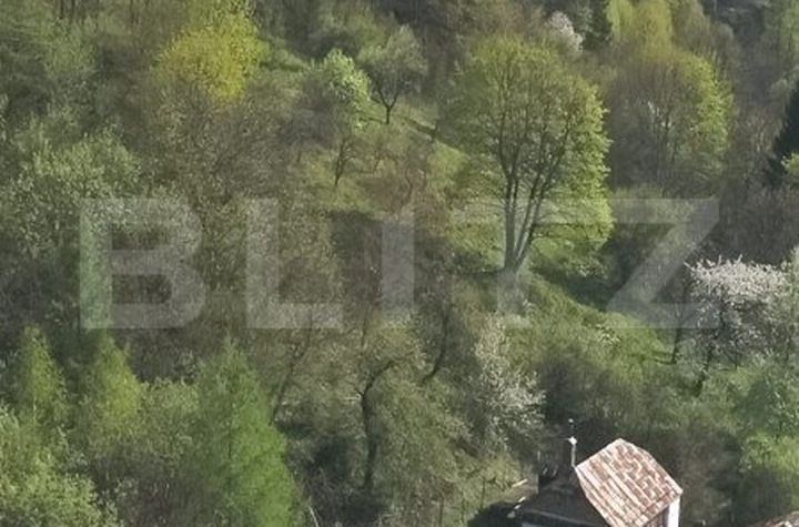 Vilă - 3 camere de vanzare SCHEI - Brasov anunturi imobiliare Brasov
